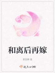 和离后再嫁竹马太子林晩盈