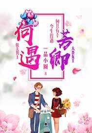 何遇全文阅读