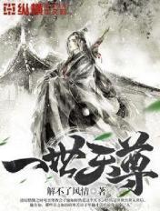 一世独尊天王境界