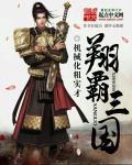 霸行三国 不低头