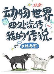 动物世界信息传递