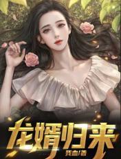 龙婿归来秦昊