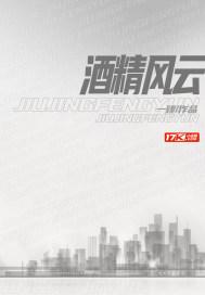 酒精风云TXT
