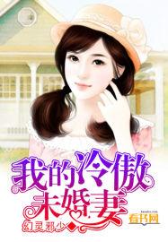 我的冷傲总裁老婆改编
