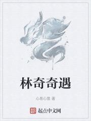 林奇视角