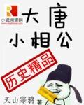 大唐小相公有声