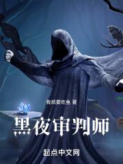 暗夜的审判官txt