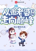 从追老婆开始走向巅峰类似