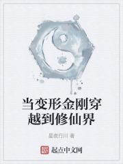 穿越变形金刚系统