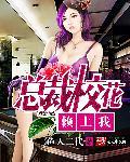 总裁校花赖上我TXT电子书