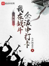 我在亮剑当战狼104