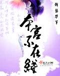 本宫不可以无弹窗