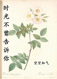 时光不曾爱过你