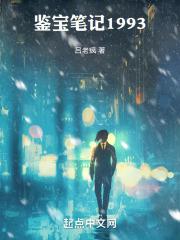 鉴宝笔记1993吕老疯