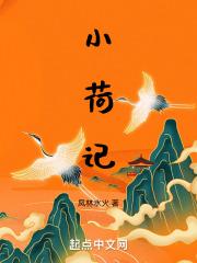 小荷成长记