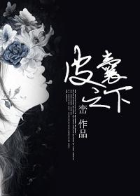 皮囊之下大结局