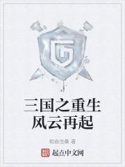 三国之风云再起彩蛋