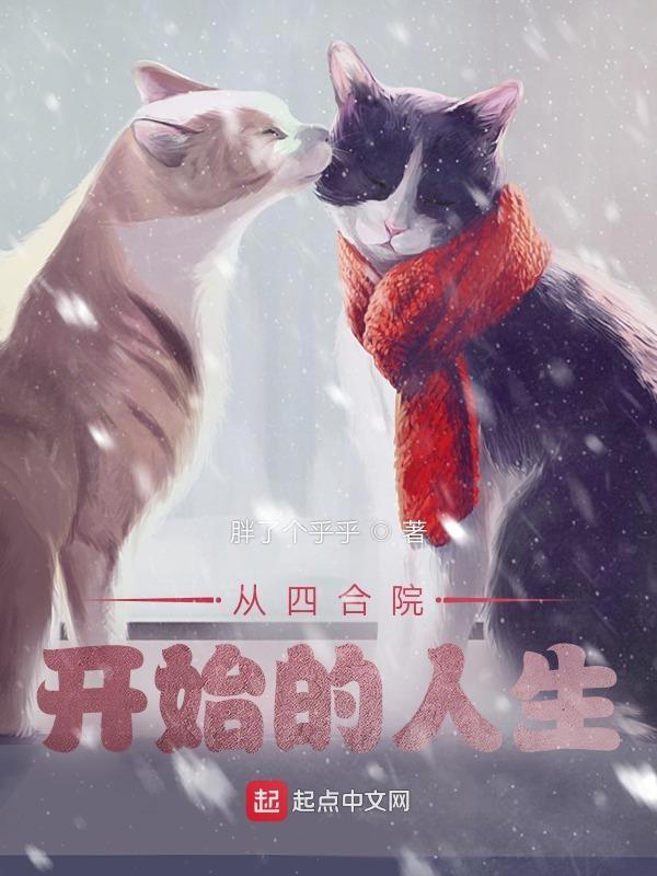 从四合院开始的人生TXT