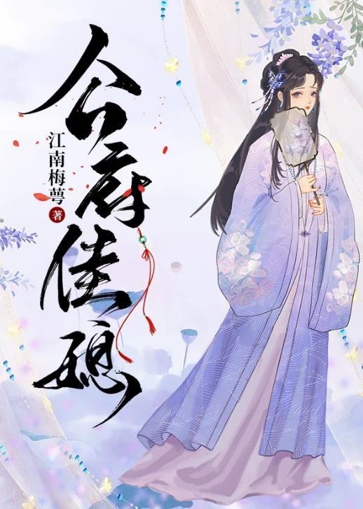 公府佳媳电视剧免费观看