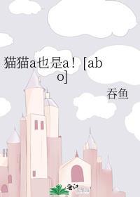 猫咪abc