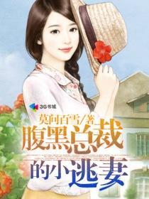 腹黑总裁恋逃妻全文阅读