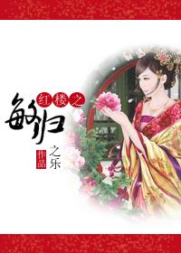 红楼梦之敏慧佳人txt