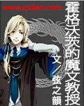 霍格沃茨的魔文教授免费观看