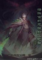 指挥官的无限打工之旅 起点