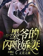 墨爷的闪婚娇妻又美又飒免费阅读
