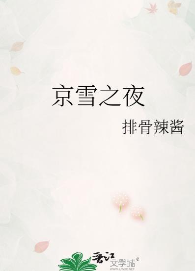 京雪之夜[先婚后爱