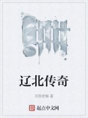 辽宁卫视传奇故事系列