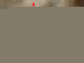 血狼团是哪个动漫