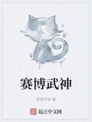 赛博朋克中的武者
