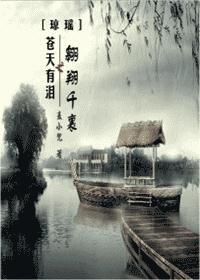 苍天有泪琼瑶作品集