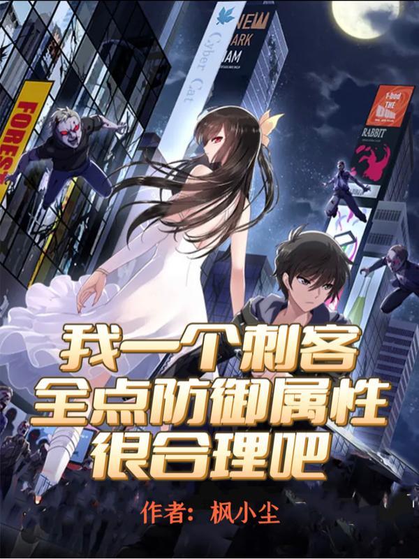 我一个刺客全点防御属性很合理吧txt