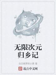 无限次元界