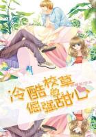 冷酷校草的倔强小甜心
