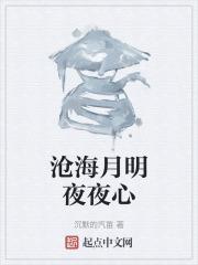 沧海夜明珠