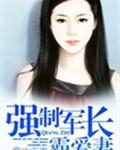 霸道老公宠萌妻聂震宇