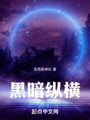 暗迪之纵横诸天txt