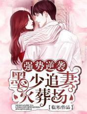 墨总追妻路漫漫