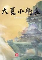 大夏小衙差 雪夜白衣人