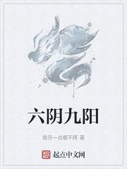 六阴六阳图