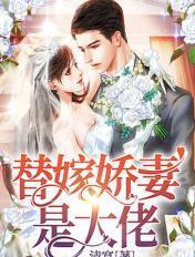 总栽夫人