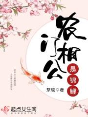 农门相公是锦鲤251