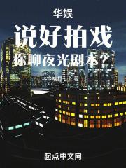 你聊夜光剧本?起点中文网