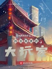 四合院里的大玩家免费阅读