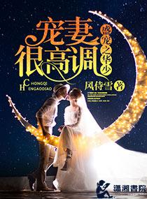 盛宠之三少追妻成瘾