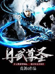 丹武圣尊txt