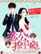 隐婚老公狠溺